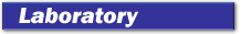 About Laboratory
